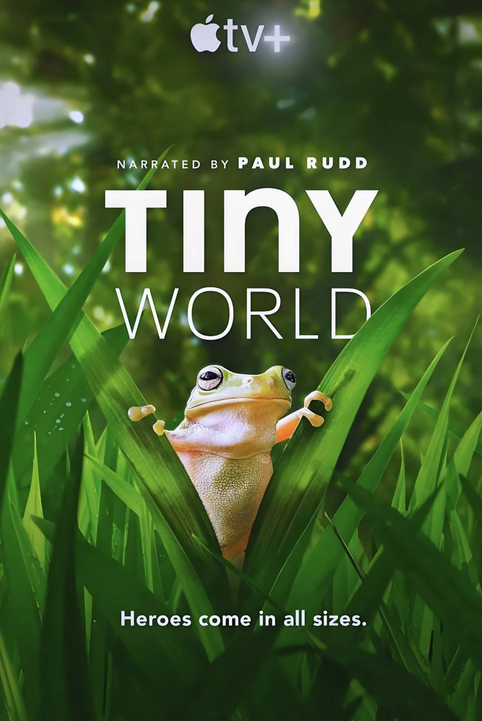 小小世界2(Tiny world2)纪录片第二季中文版普通话，高清【1080P / 4K】国语配音夸克 百度网盘下载观看