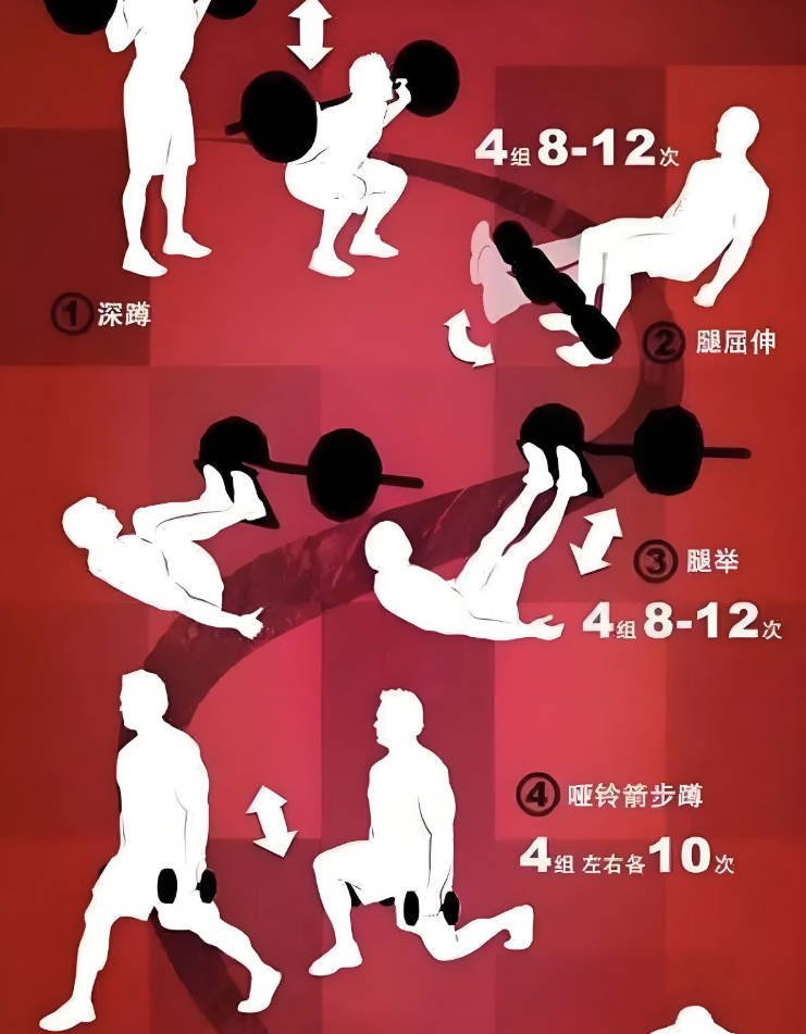 《打造完美身材，健身房增肌减脂全方案》视频全集下载，完美的健身身材塑造之路