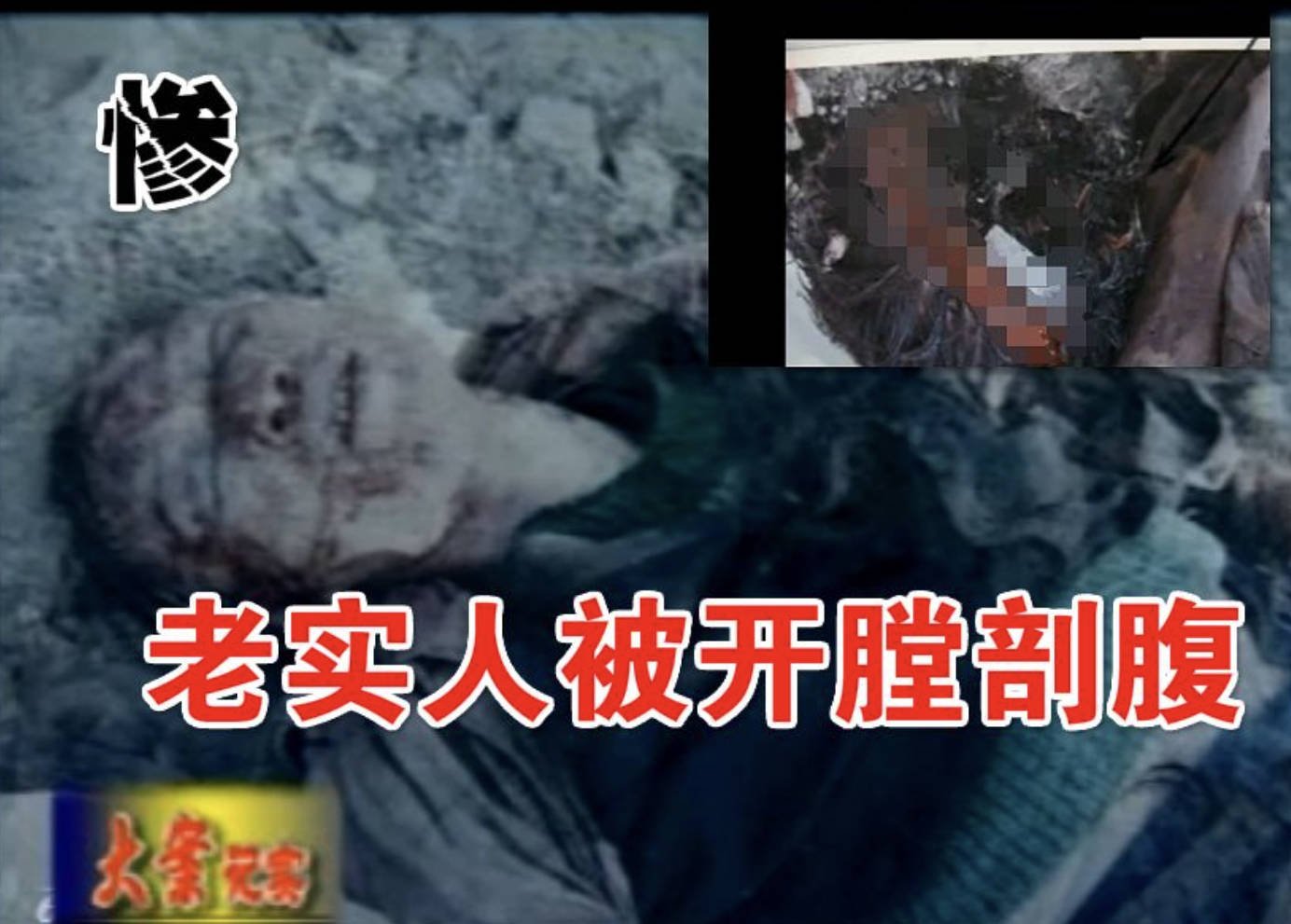中国西部刑侦大案纪实纪录片无删减版:全集完整版1-20合集在线观看胆小勿入(夸克百度云)