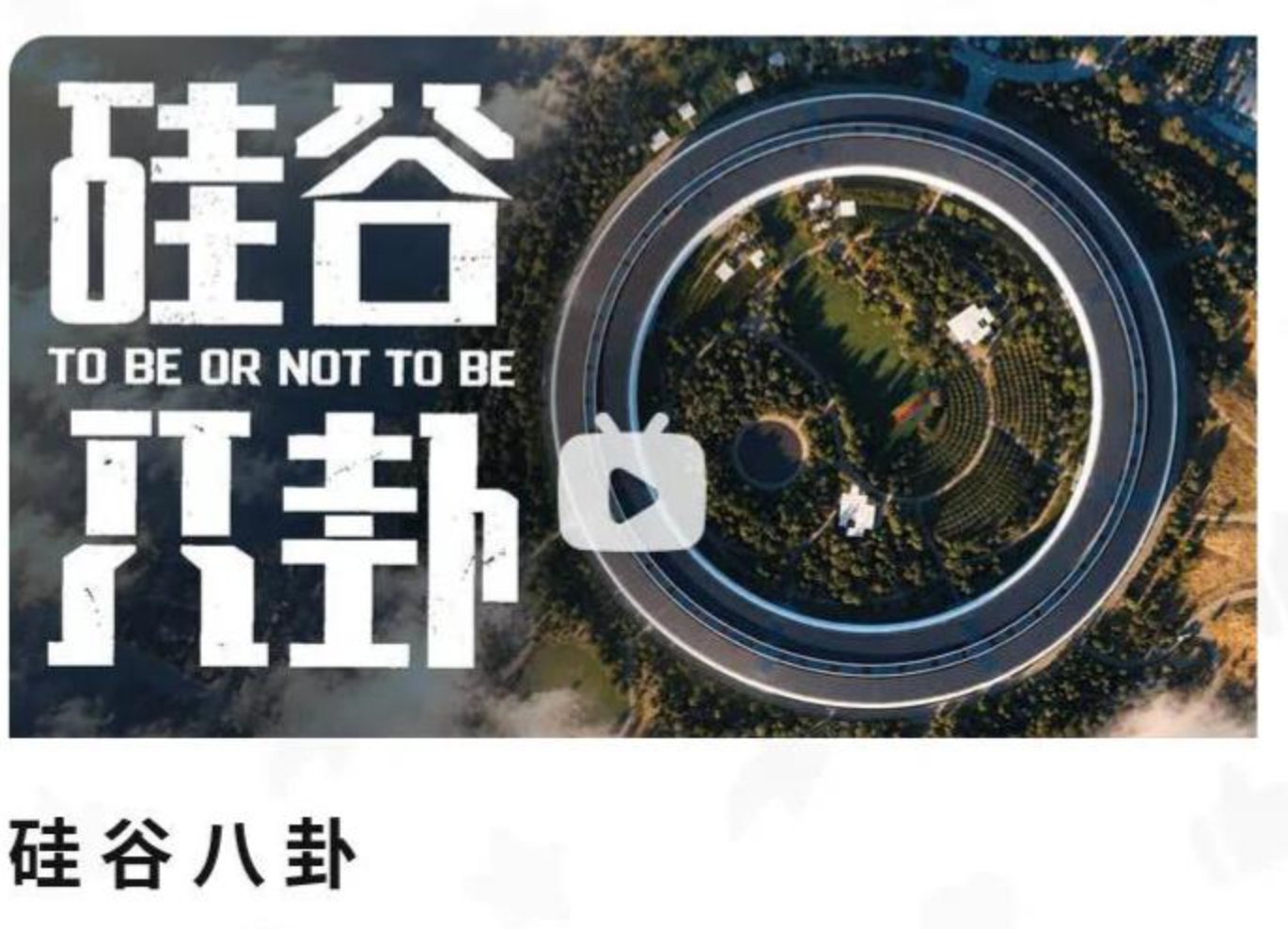 食贫道【纪录片】2026.9.24 硅谷八卦4K+1080P 【夸克/百度网盘】下载完整资源